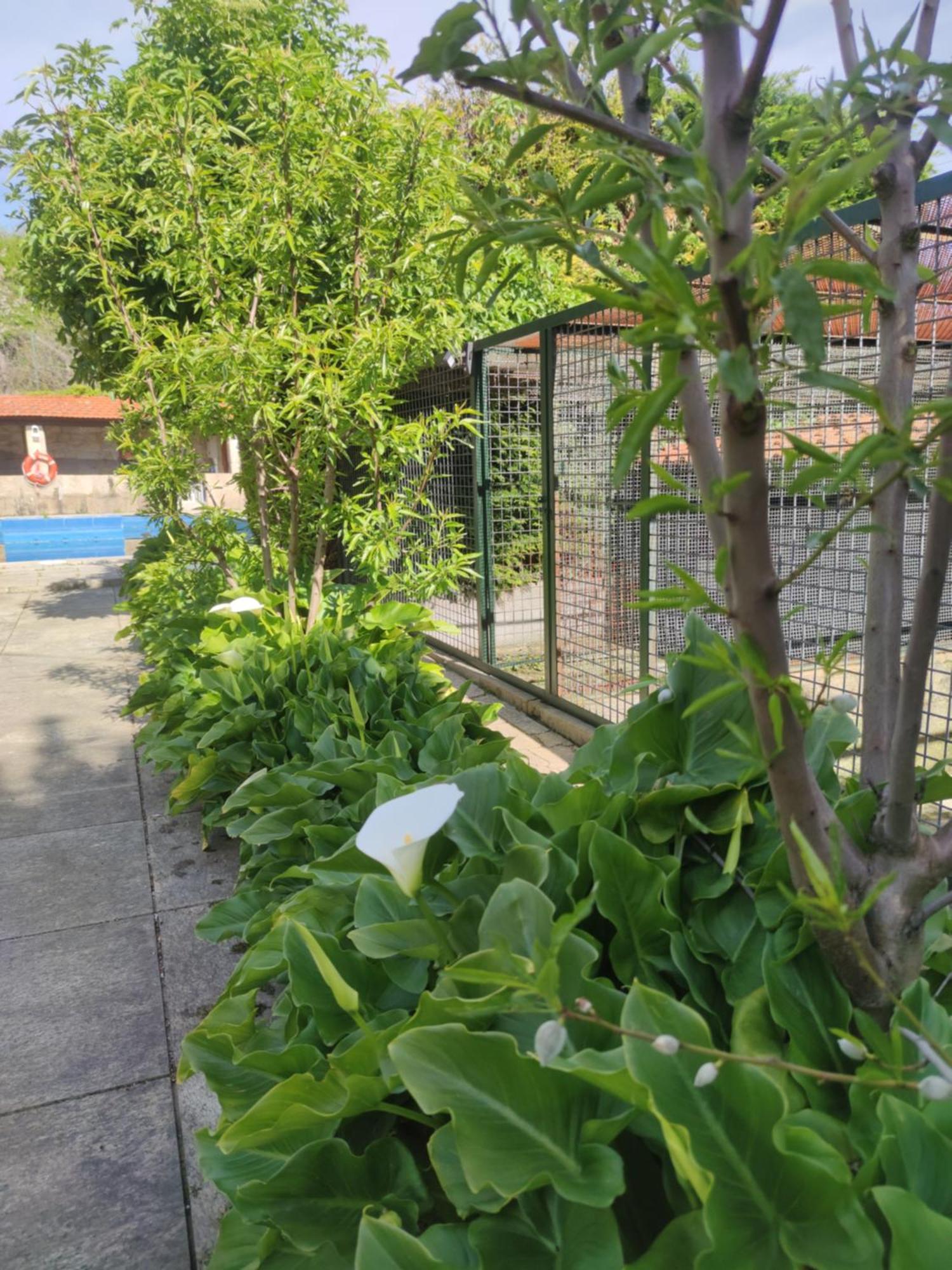 Real Santo Antonio Guest House Tarouca Luaran gambar