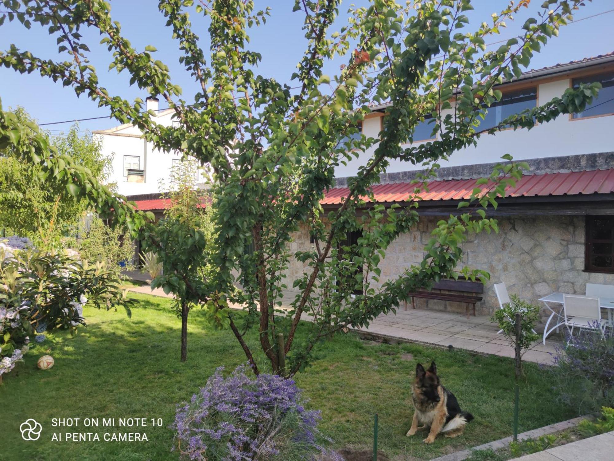 Real Santo Antonio Guest House Tarouca Luaran gambar
