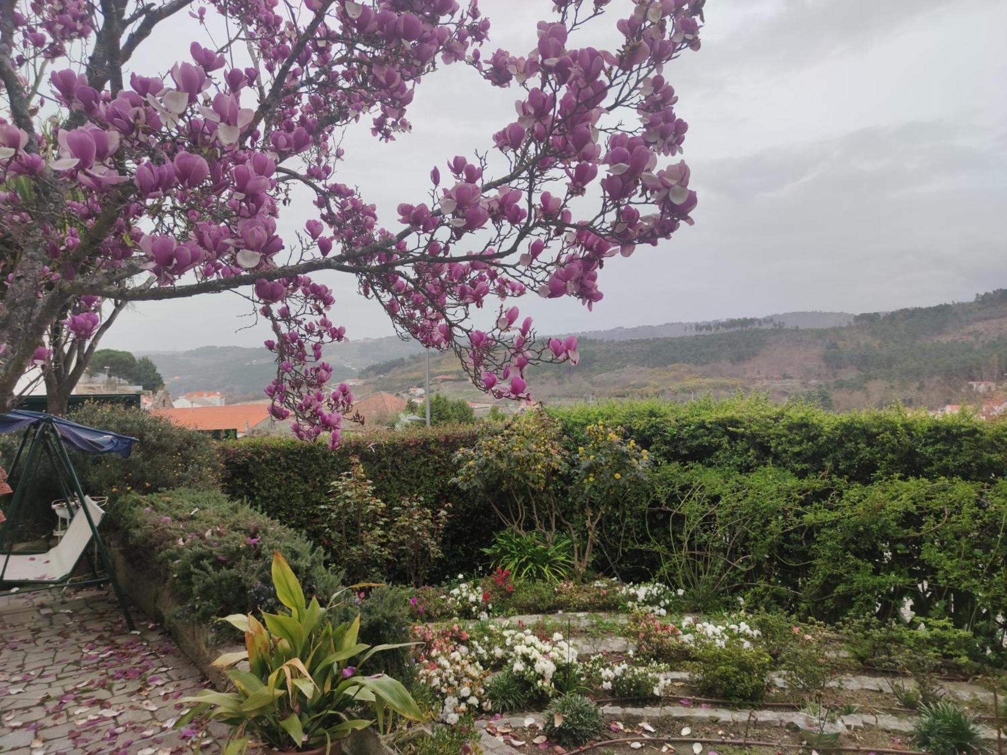 Real Santo Antonio Guest House Tarouca Luaran gambar