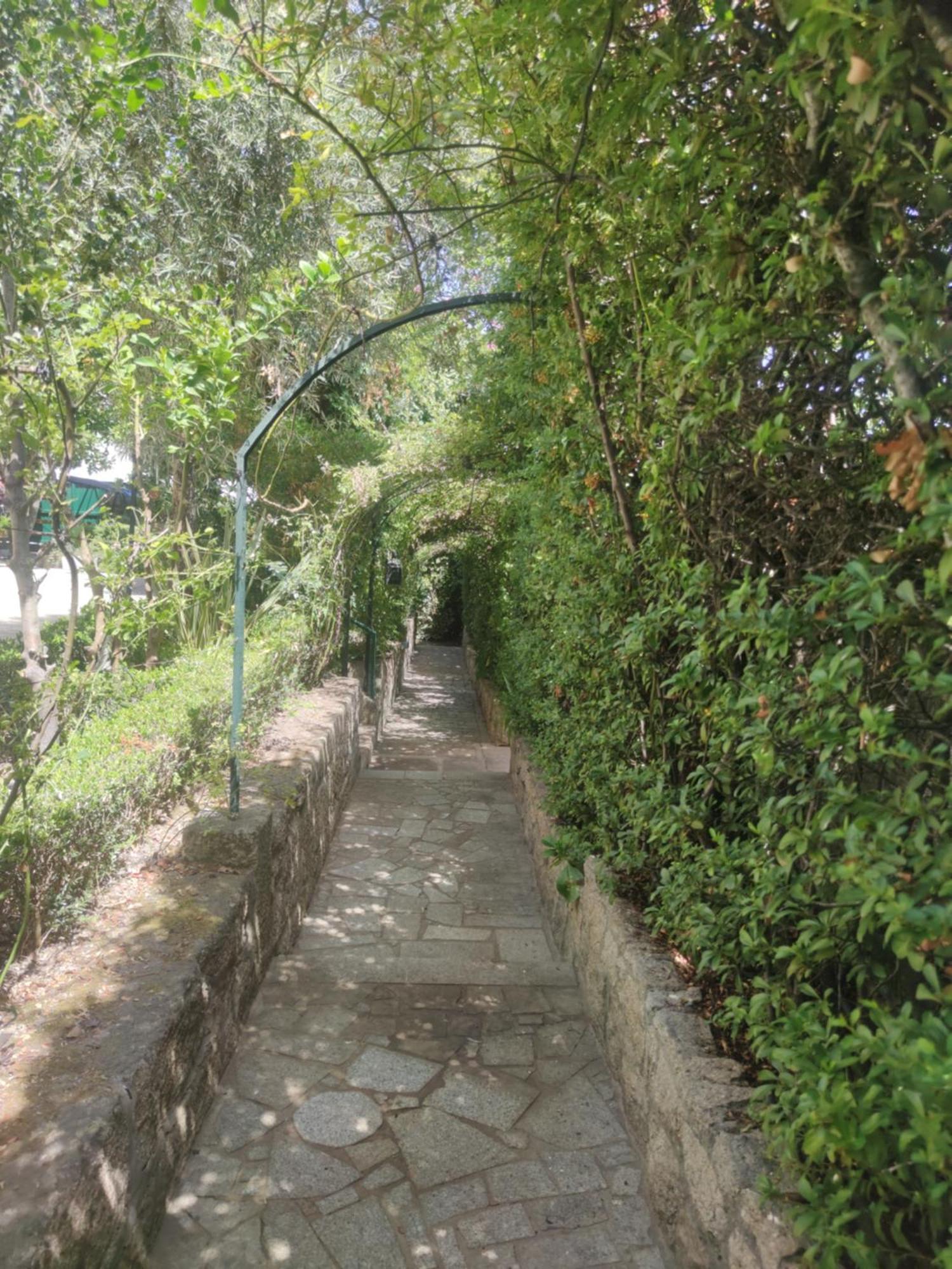 Real Santo Antonio Guest House Tarouca Luaran gambar