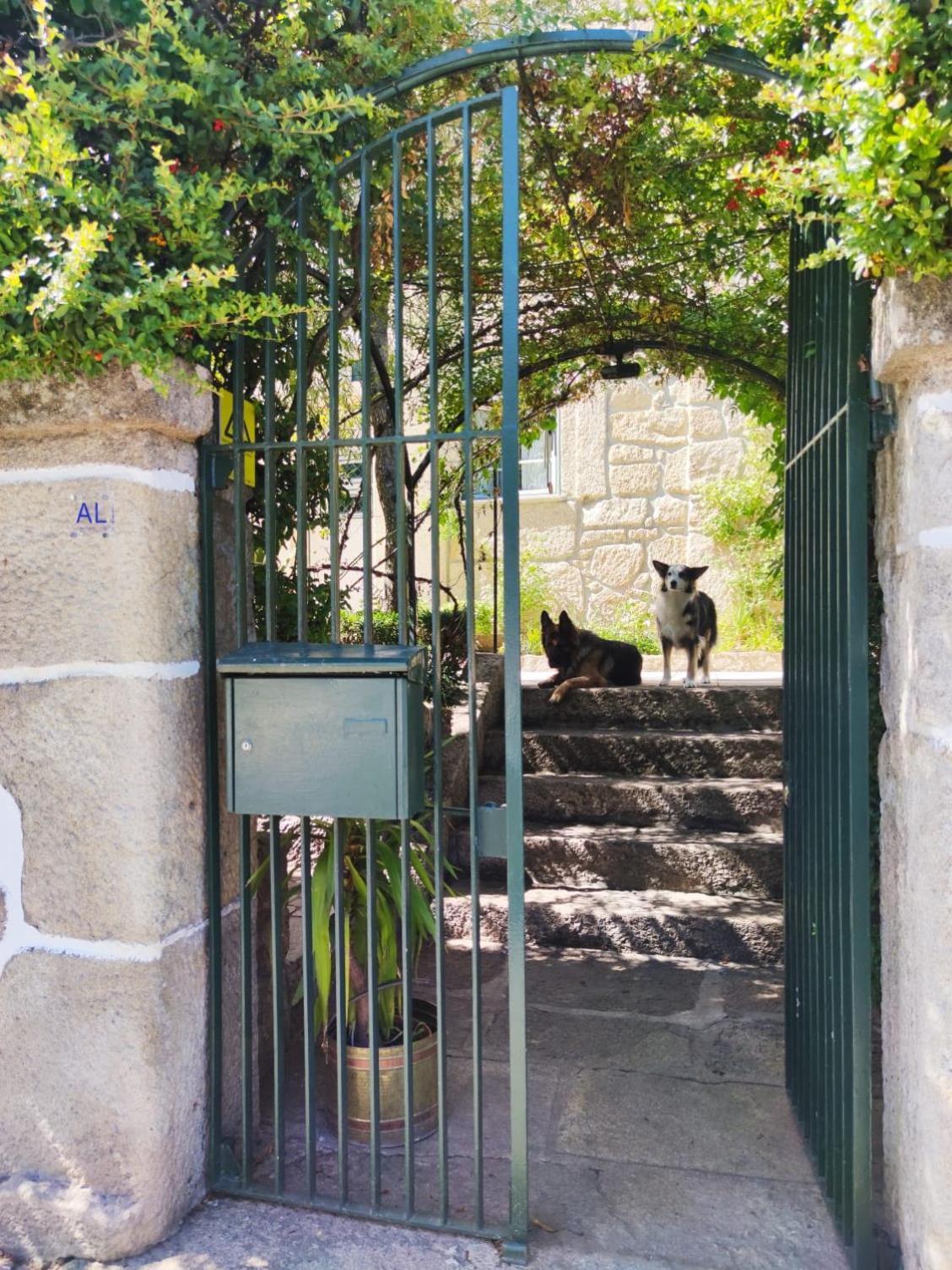 Real Santo Antonio Guest House Tarouca Luaran gambar