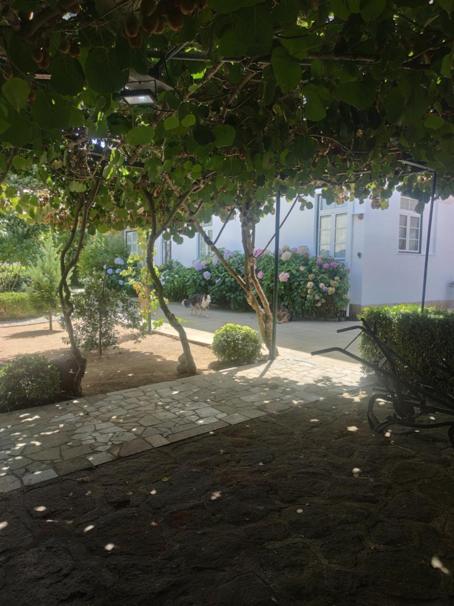 Real Santo Antonio Guest House Tarouca Luaran gambar